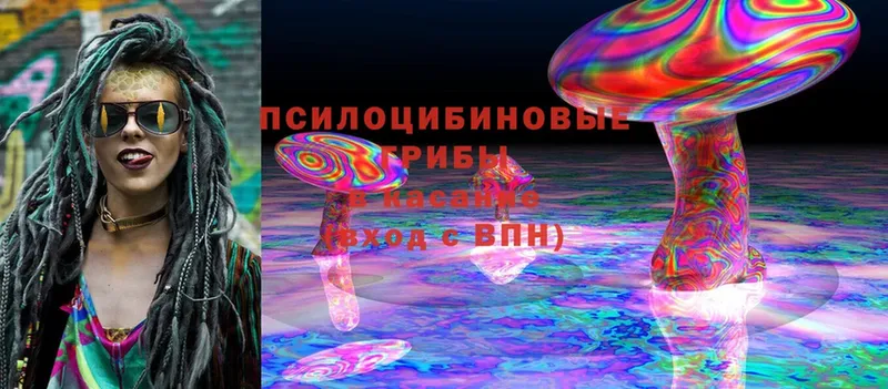 где найти   мега зеркало  Галлюциногенные грибы MAGIC MUSHROOMS  Калач 